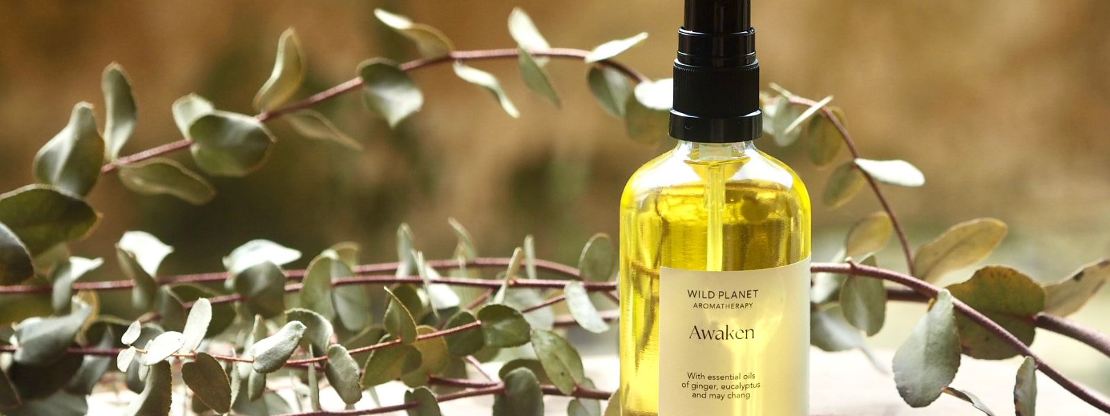 Awaken Room Spray in front of eucalyptus leaves by Wild Planet Aromatherapy