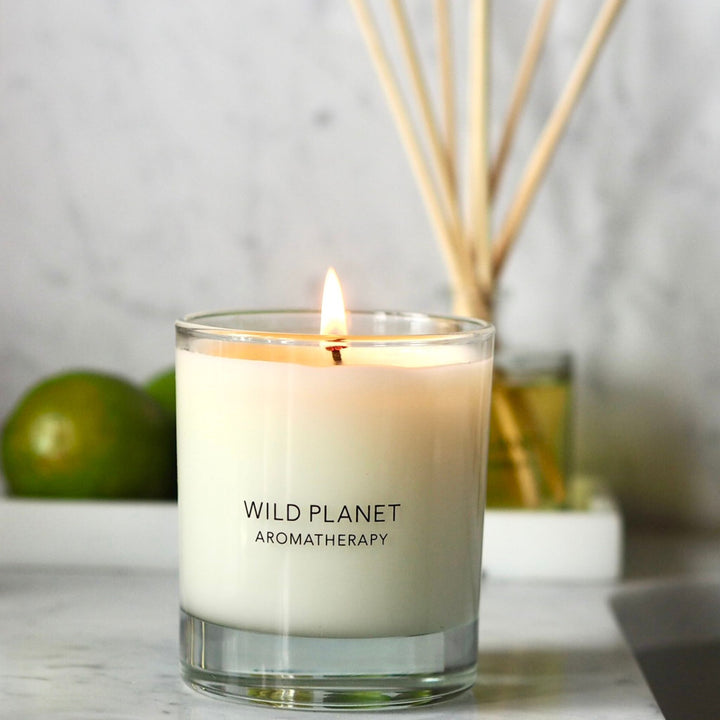 Citrus soy candle with essential oils | Wild Planet Aromatherapy Scented Candle