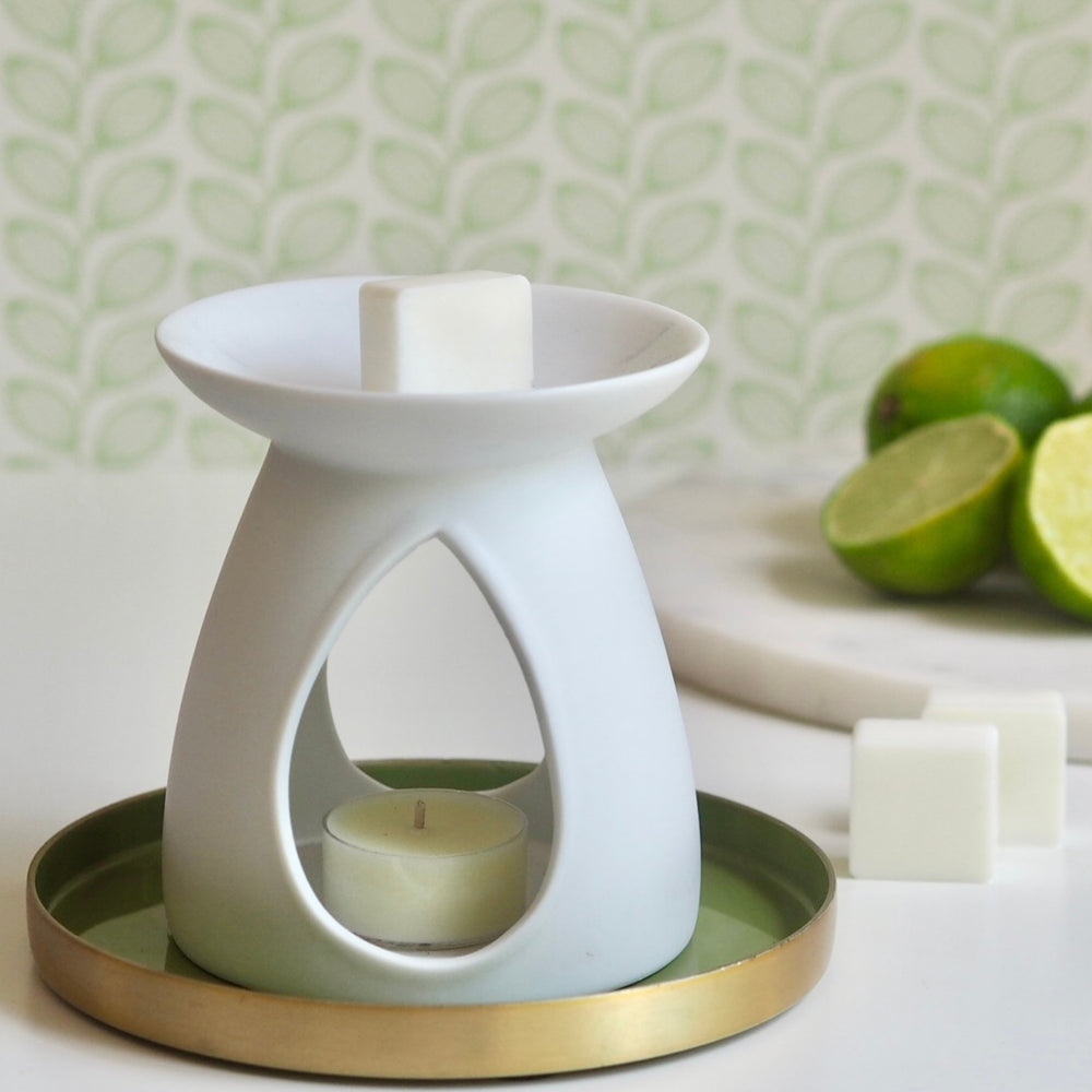 Limelight citrus wax melts  | Wild Planet Aromatherapy  Wax Melts