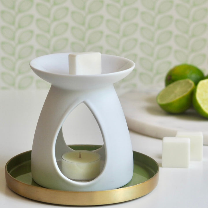 Limelight citrus wax melts  | Wild Planet Aromatherapy  Wax Melts
