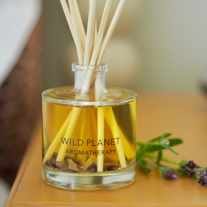 Deep Slumber | Unwinding Organic Reed Diffuser | Wild Planet Reed Diffuser