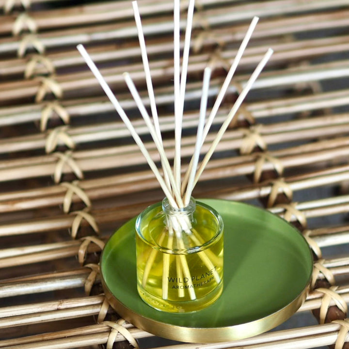 Limelight Citrus Reed Diffuser | Wild Planet Aromatherapy Reed Diffuser