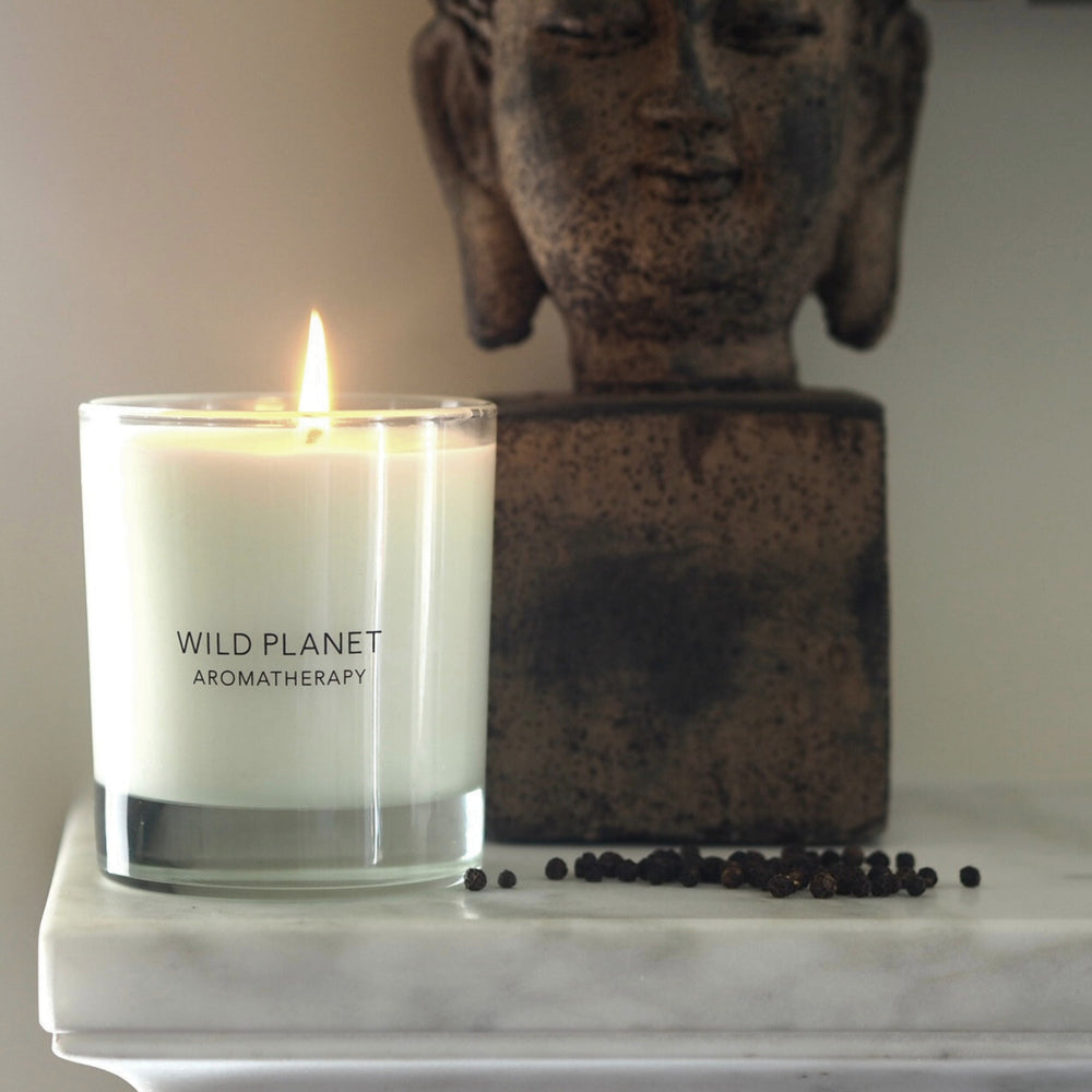 Spice Night - Woody Spicy Candle | Wild Planet Aromatherapy  Candle