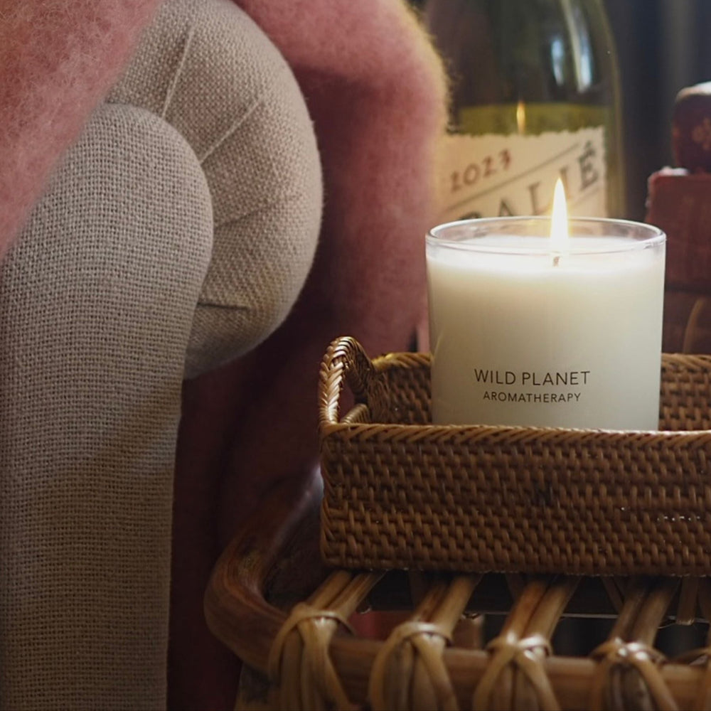 Clove Orange Aromatherapy Candle | Wild Planet Aromatherapy Candle