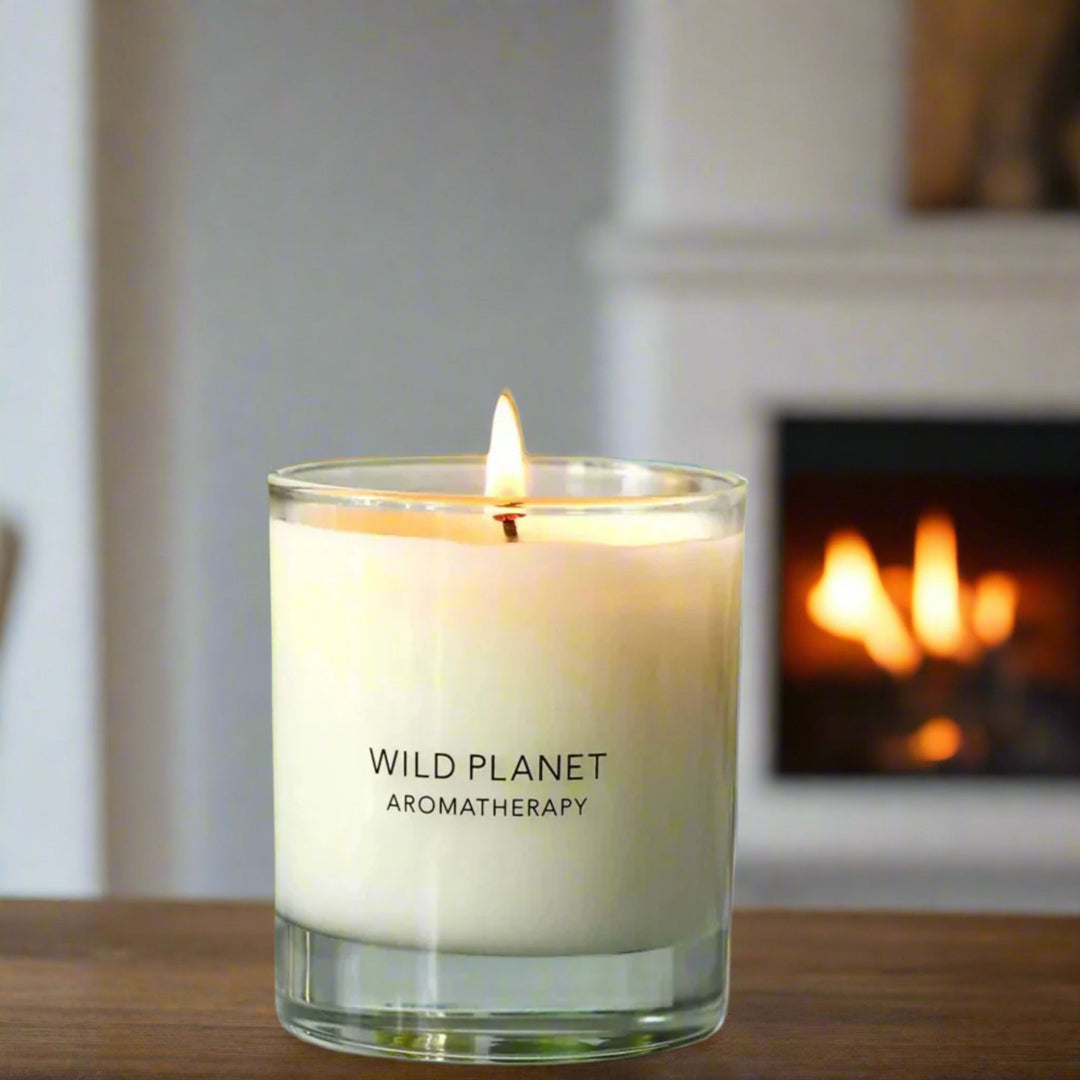 Clove Orange Aromatherapy Candle | Wild Planet Aromatherapy Candle