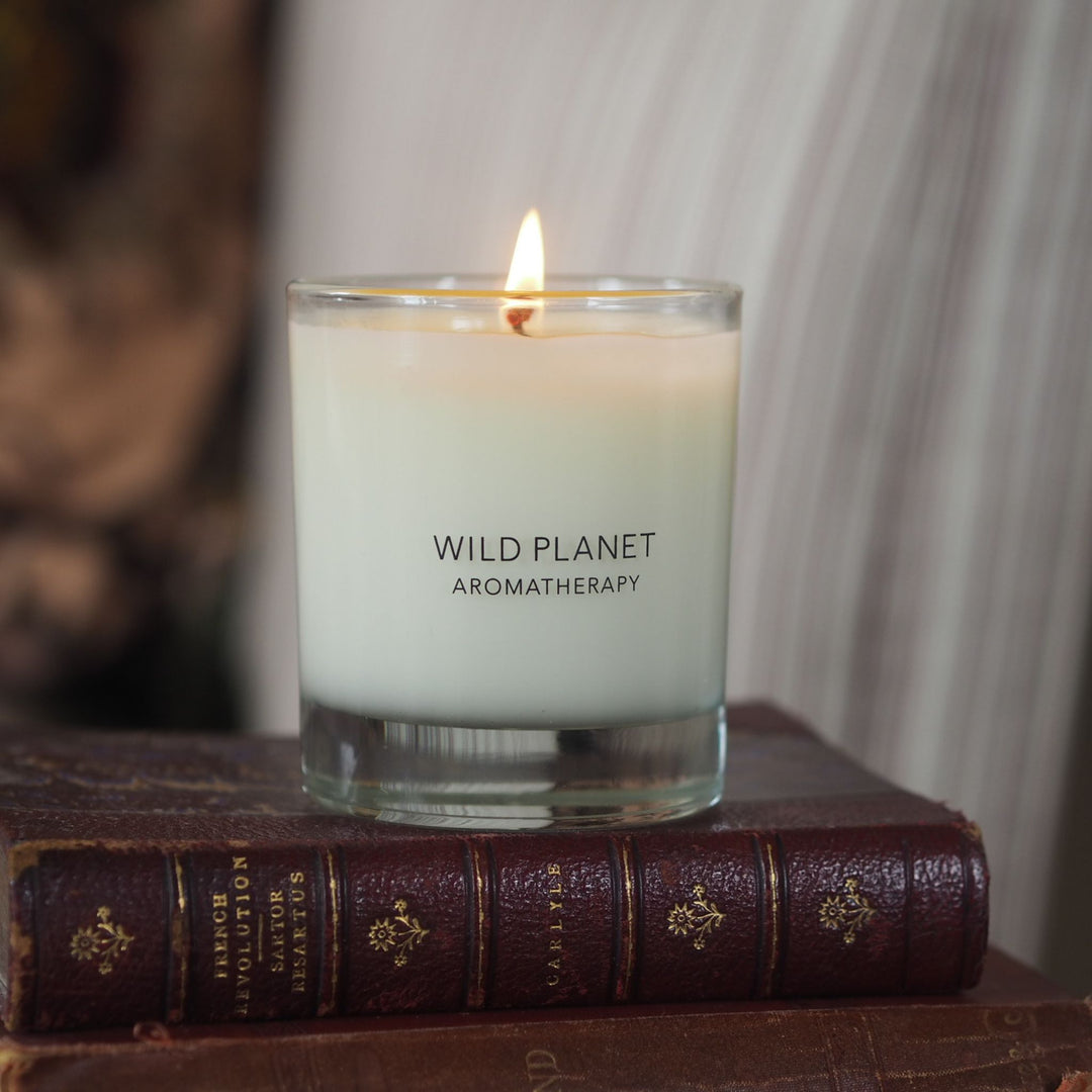 Clove Orange Aromatherapy Candle | Wild Planet Aromatherapy Candle