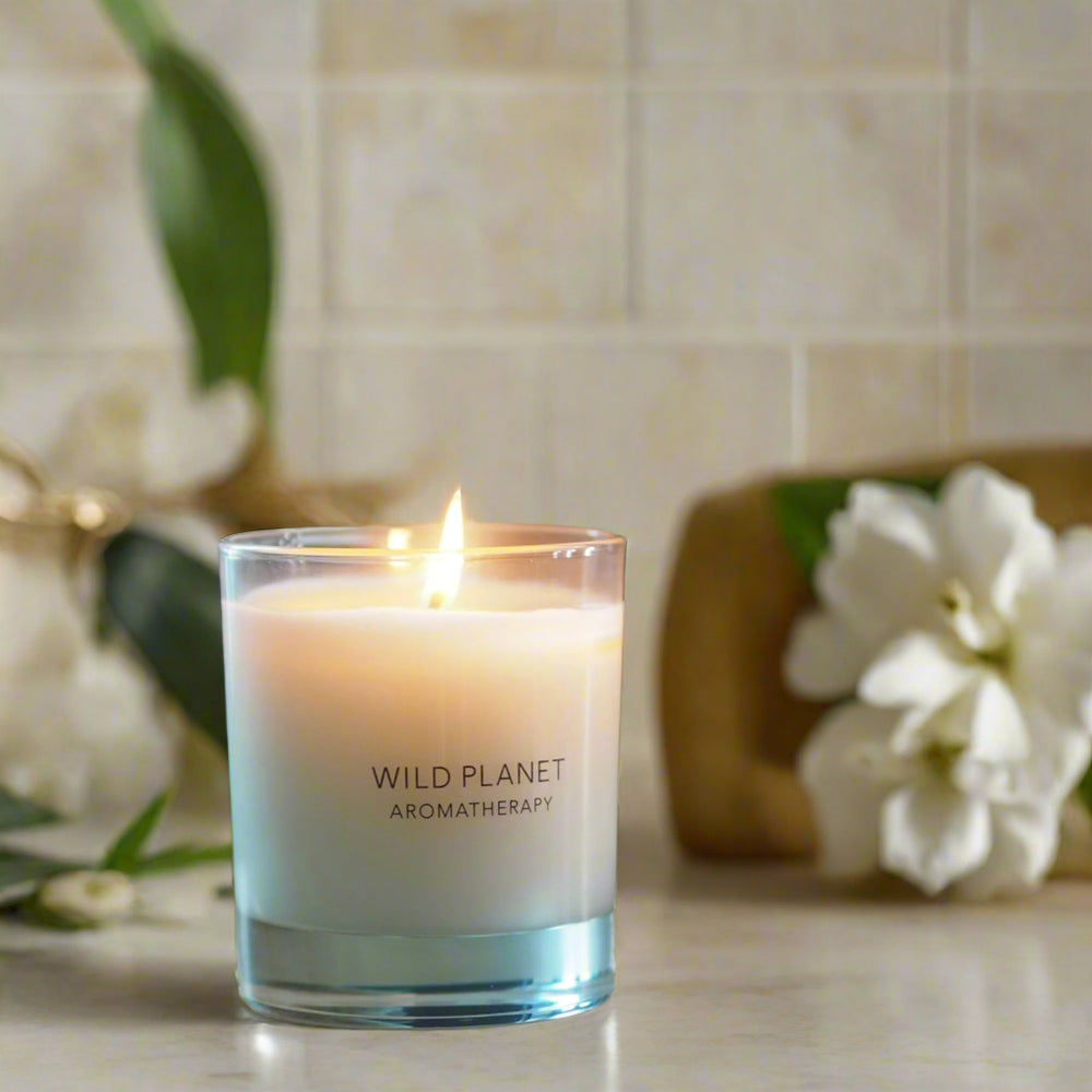 Natural scented aromatherapy Hedonist candle Scented Candles
