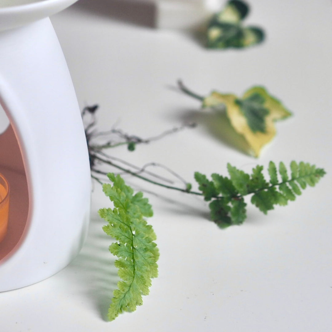 Forest Bathing luxury wax melts by Wild Planet Aromatherapy Wax Melts