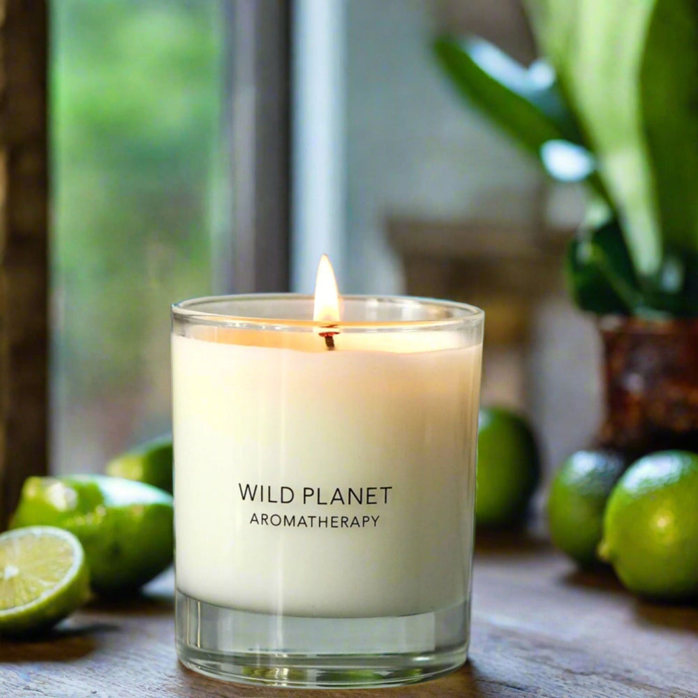 Citrus soy candle with essential oils | Wild Planet Aromatherapy Scented Candle
