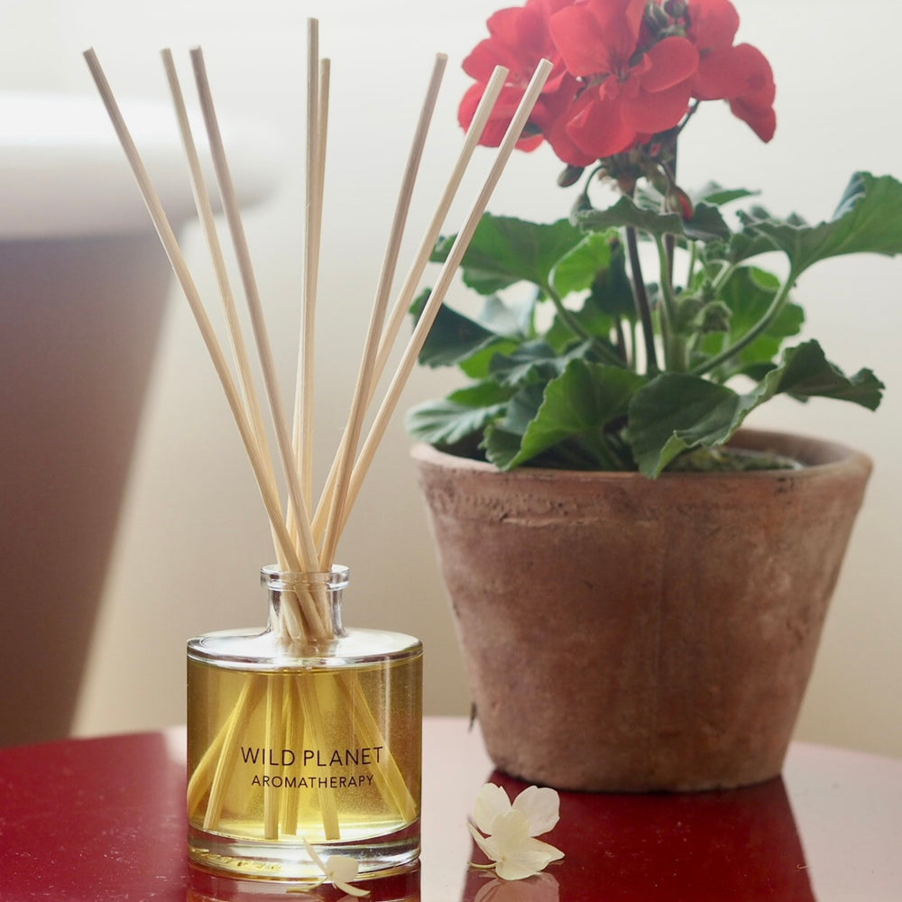 Hedonist natural floral reed diffuser | Wild Planet Aromatherapy  Reed Diffuser