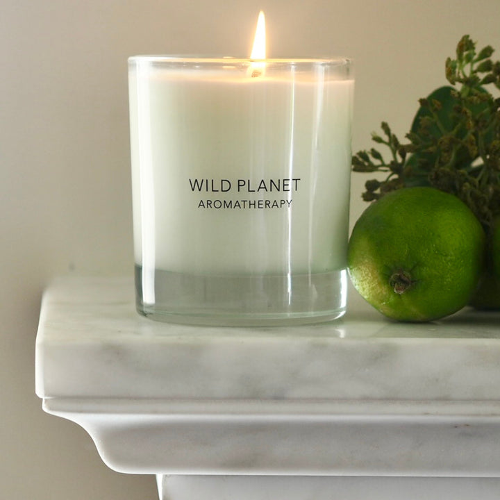 Citrus soy candle with essential oils | Wild Planet Aromatherapy Scented Candle