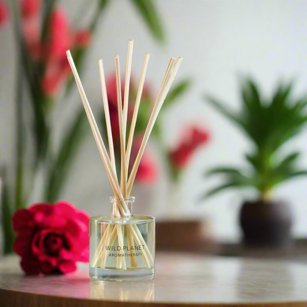 Hedonist natural floral reed diffuser | Wild Planet Aromatherapy  Reed Diffuser