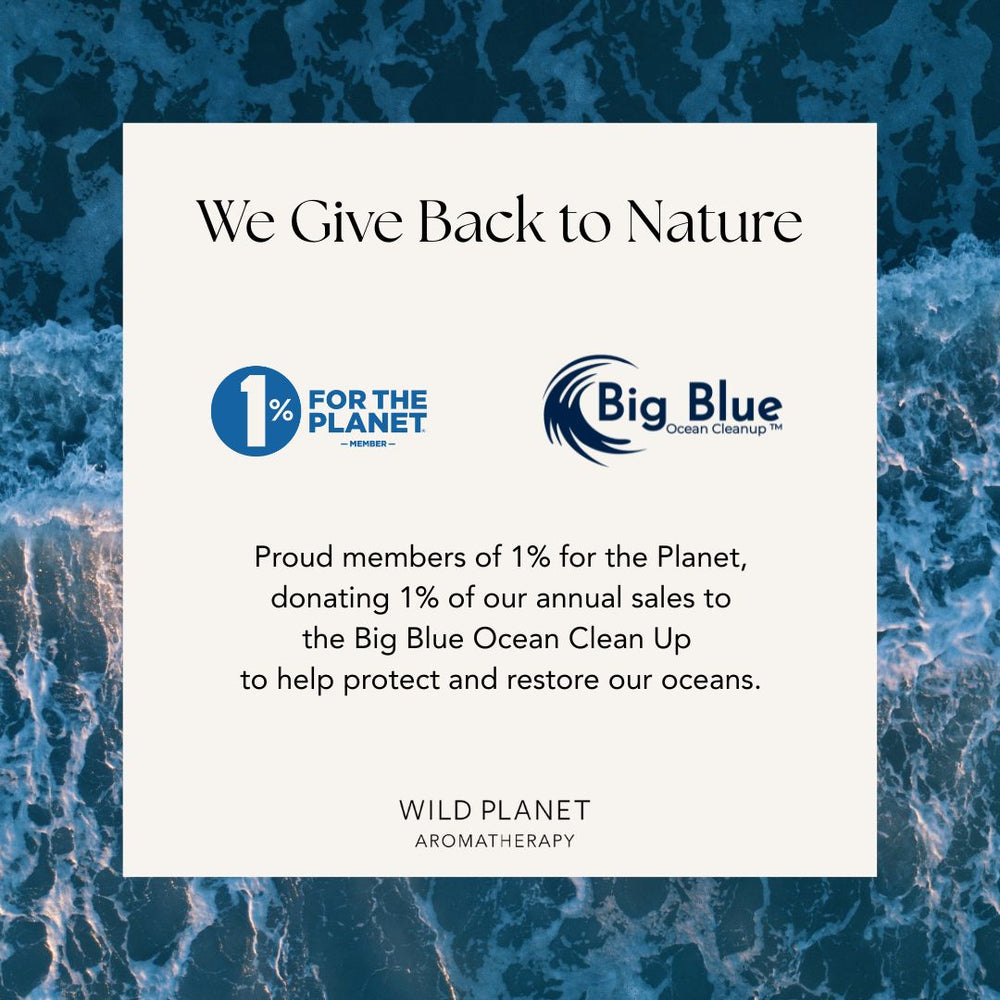 ocean in background with One Percent For The Planet and Big Blue Ocean Clean Up logos