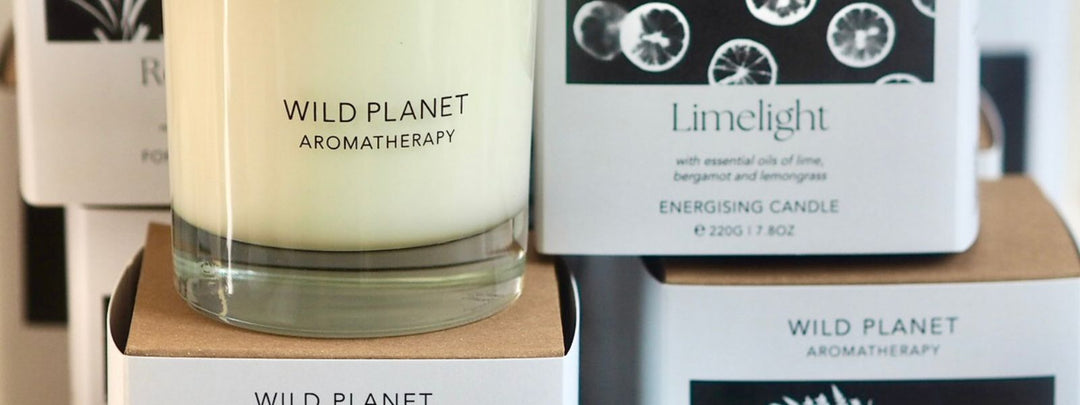 Candle on top of branded candle boxes by Wild Planet Aromatherapy