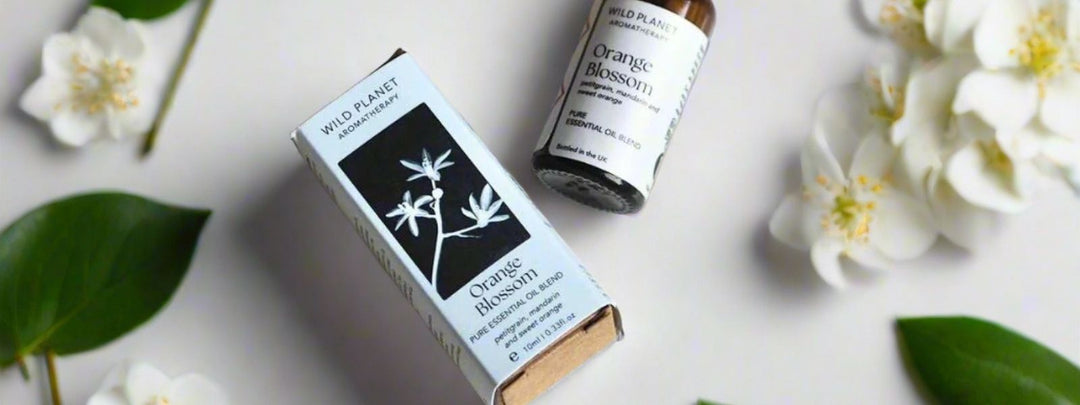 flatlay of orange blossom essential oil bottle and box on white background with white flowers and leaves