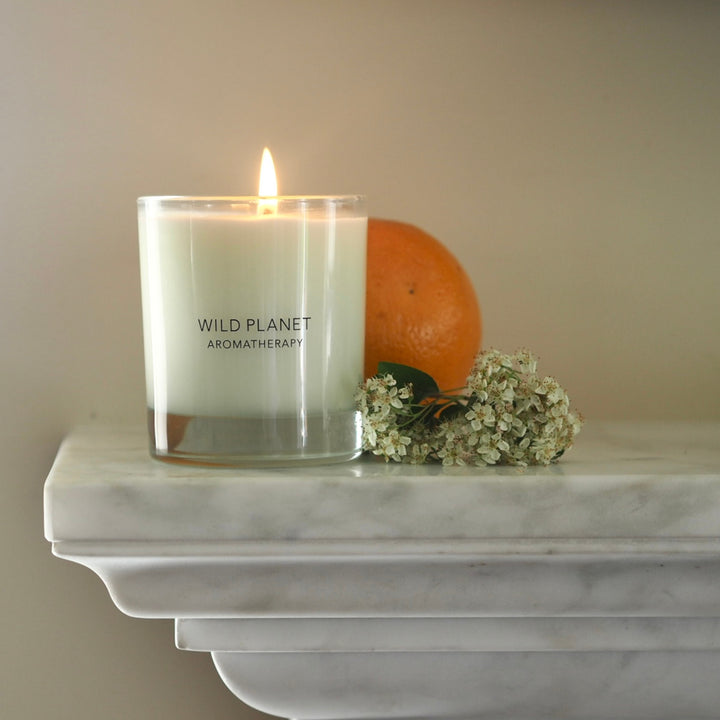 Wild Planet Aromatherapy calming candle lit on a marble mantel with an orange and small flowers