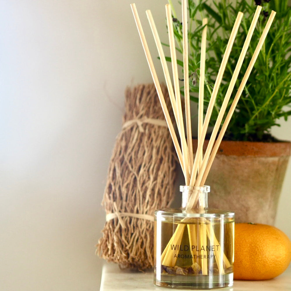 Wild Planet Aromatherapy organic reed diffuser placed next to a bundle of dried herbs and orange.