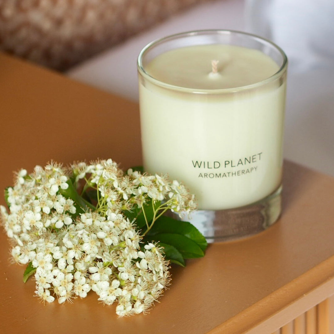 Wild Planet Aromatherapy calming candle on a wooden surface next to a cluster of small white flowers