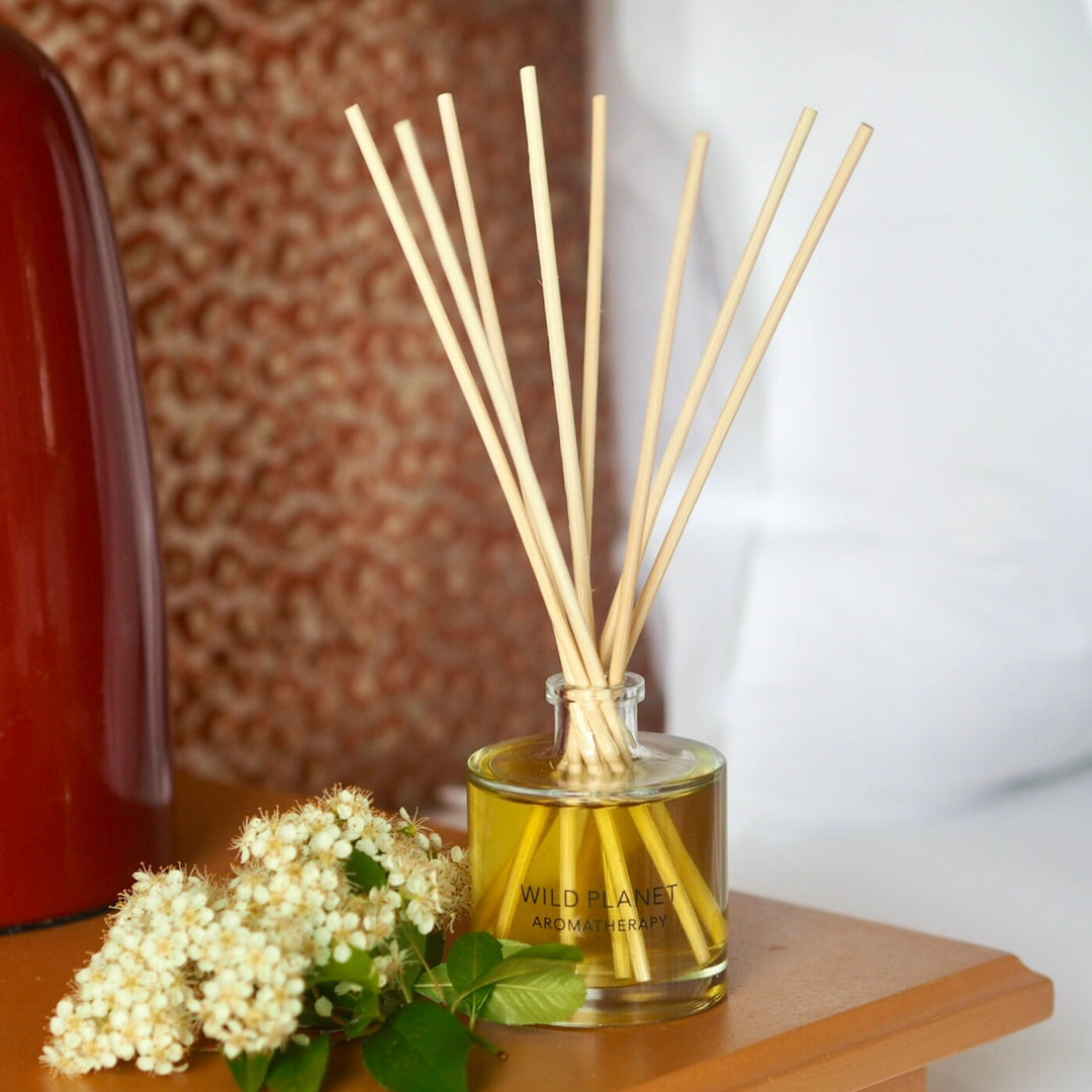 Wild Planet Aromatherapy natural reed diffuser with white blossoms on wooden table.