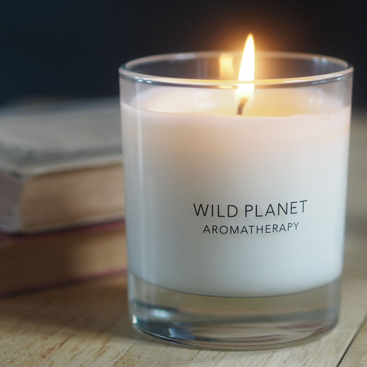 Wild Planet Aromatherapy vegan soy wax candle naturally burning on wooden surface near books