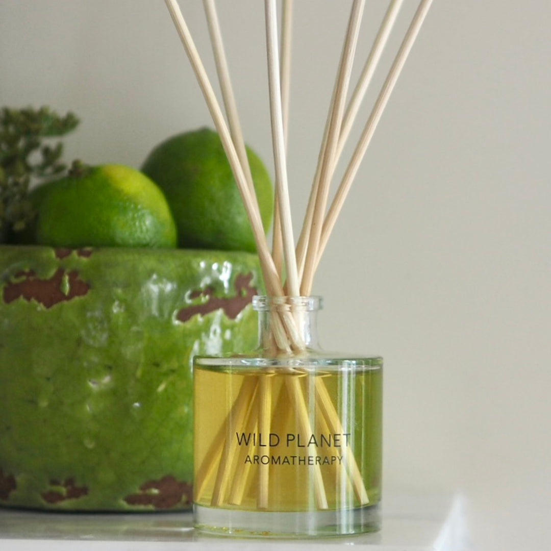 Wild Planet Aromatherapy natural reed diffuser with green pot and limes.