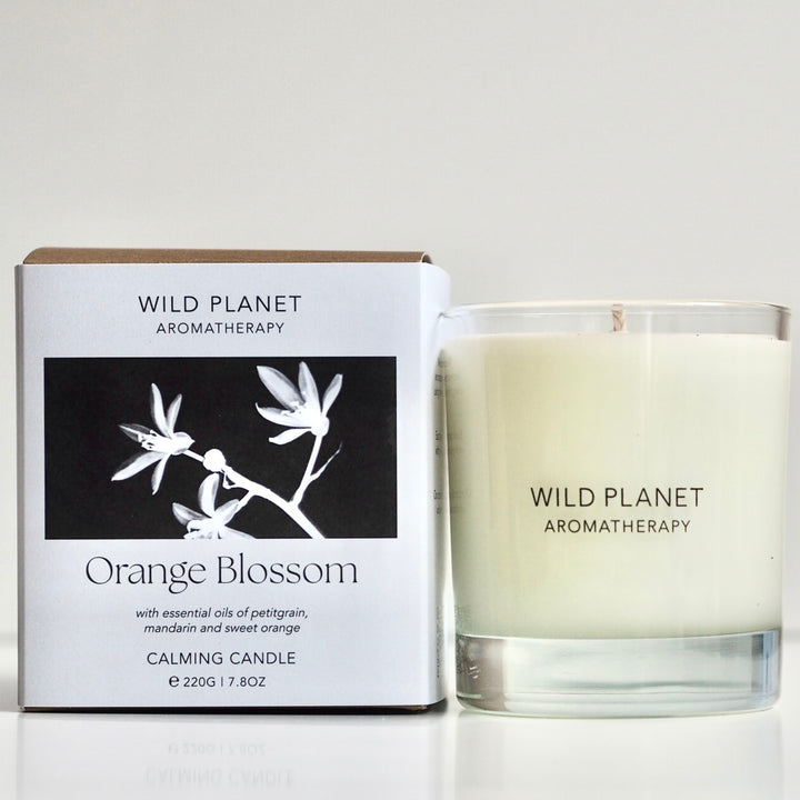 Wild Planet Aromatherapy calming vegan natural soy wax candle next to natural eco friendly box 