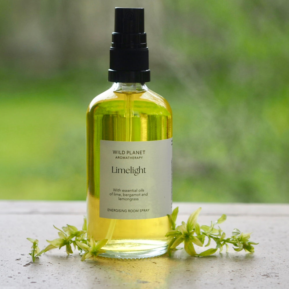 Limelight citrus Aromatherapy Room Spray with lime, bergamot and lemongrass, next to plants