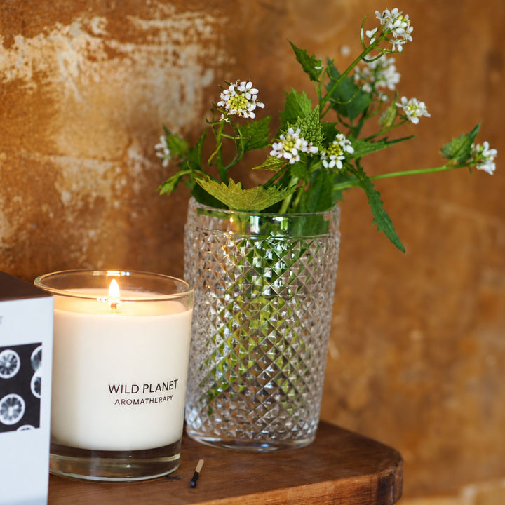 Limelight Candle - Wild Planet Aromatherapy