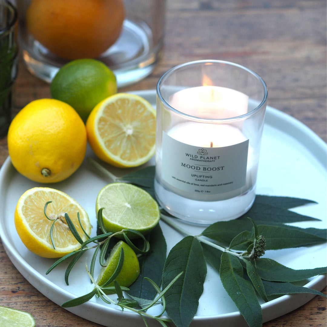 Mood Boost Uplifting Candle | Wild Planet Aromatherapy UK Scented Candle
