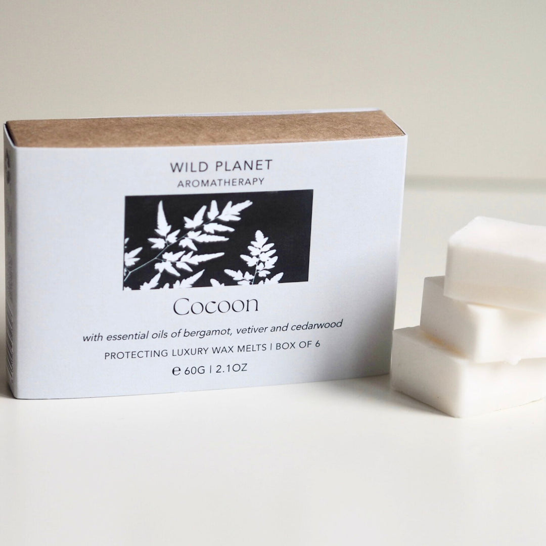 Wild Planet sustainable vegan soy wax candle with essential oils next to natural eco friendly box 