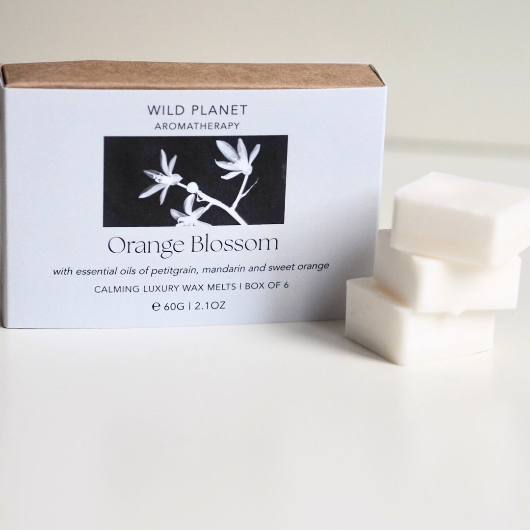 Wild Planet sustainable vegan soy wax melts with essential oils next to natural eco friendly box.