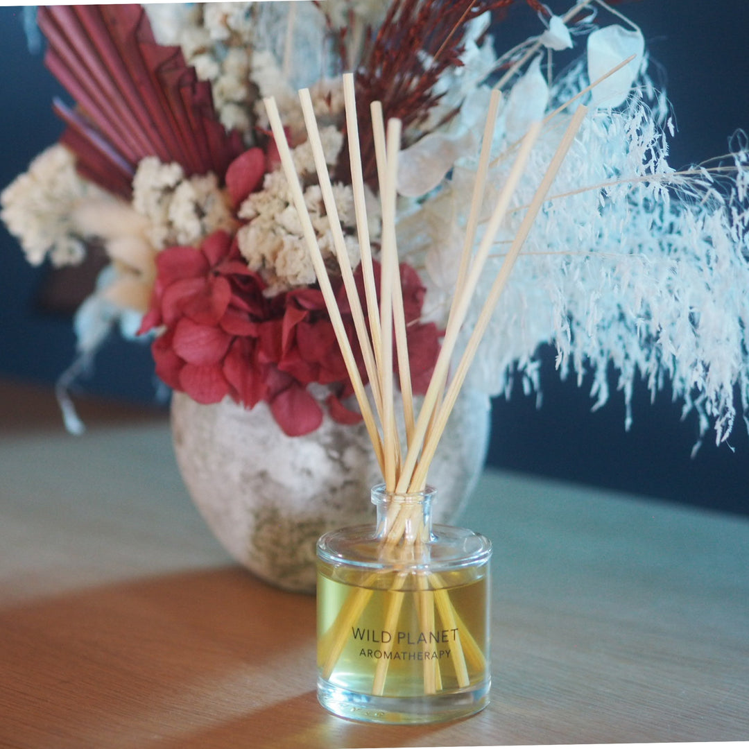 Wild Planet Aromatherapy natural reed diffuser with red and white dried floral arrangement.