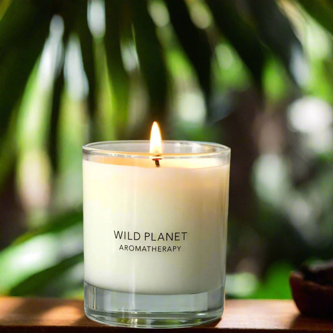 Natural scented aromatherapy Hedonist candle Scented Candles