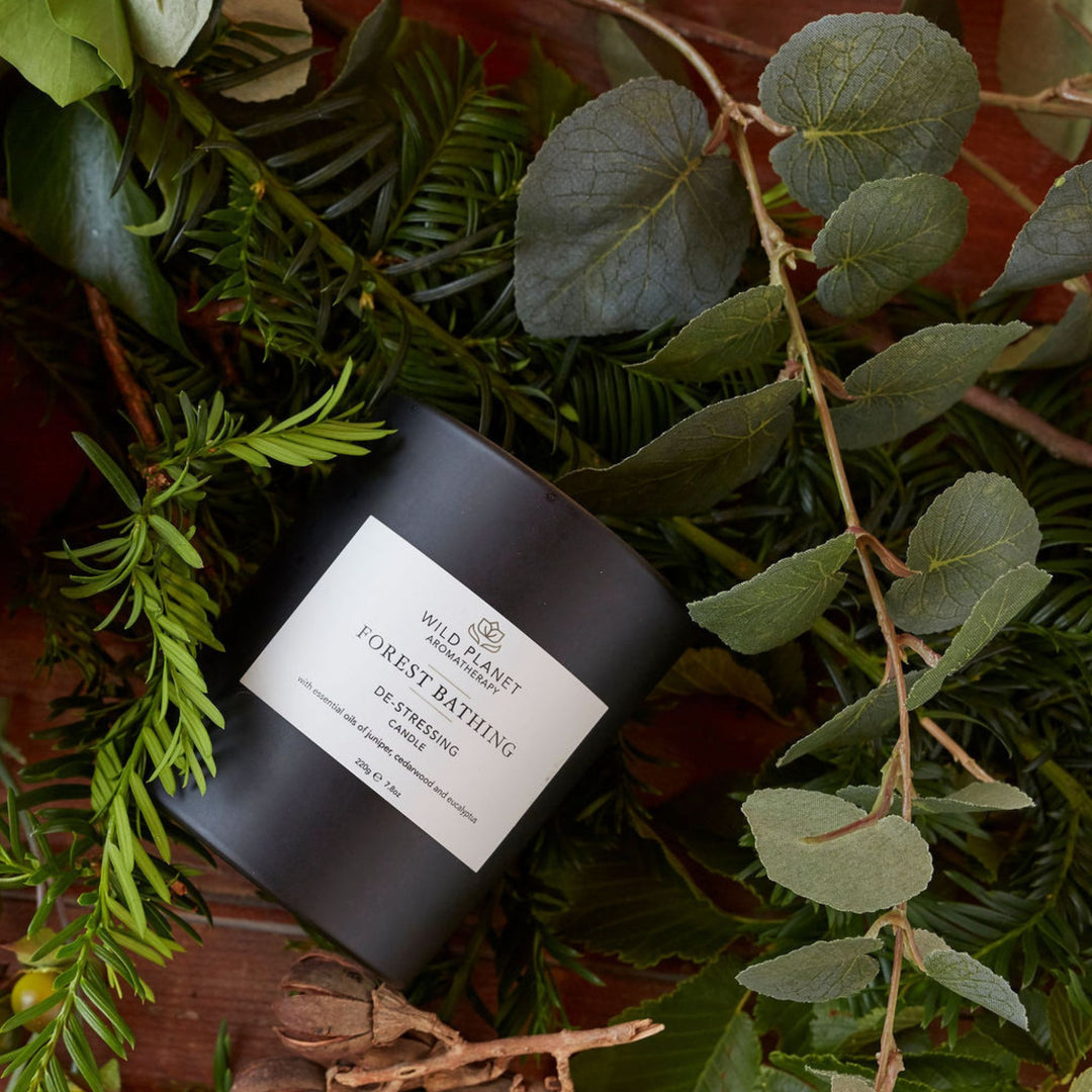 Forest Bathing | Natural Candle | Wild Planet Aromatherapy UK Scented Candle