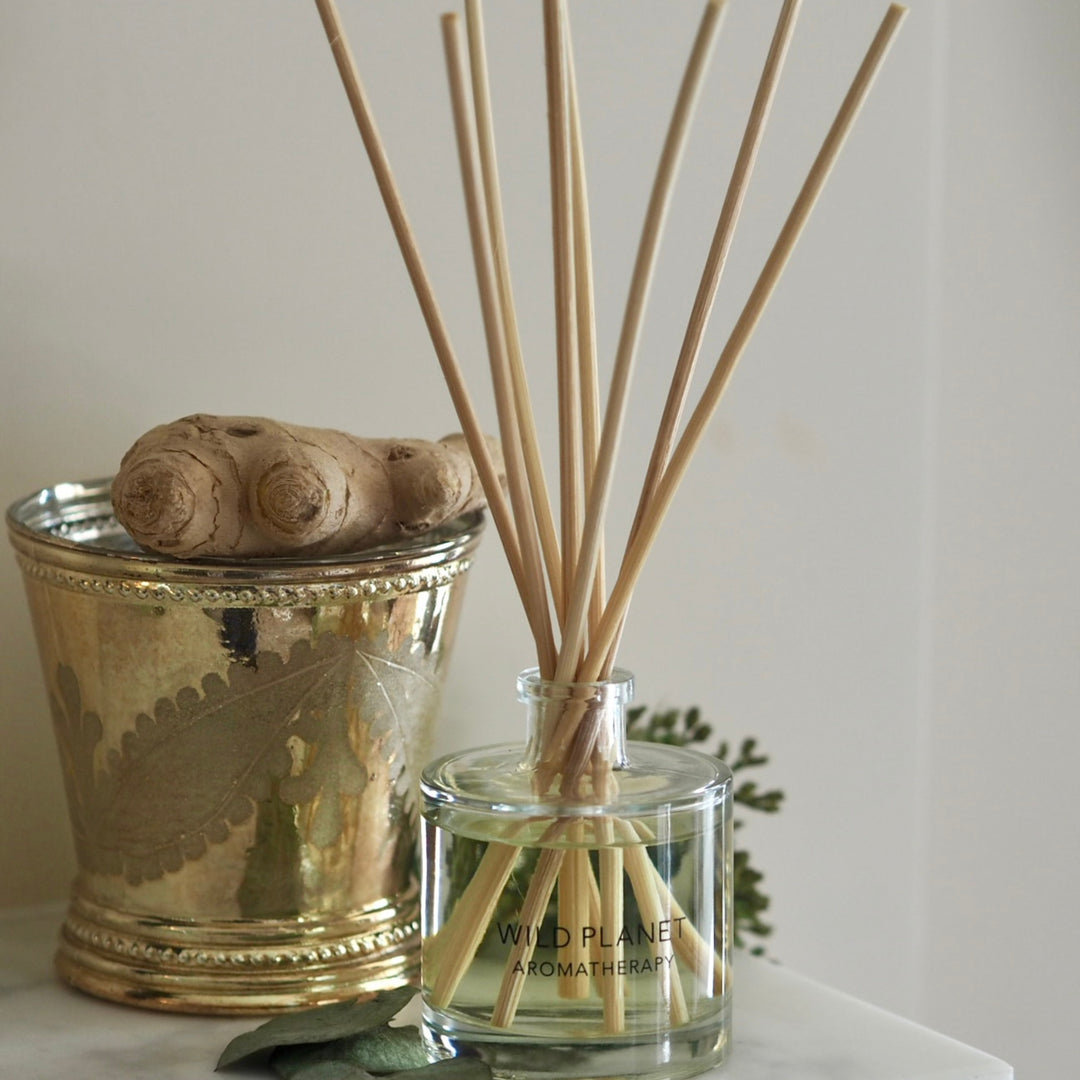 Wild Planet Aromatherapy natural reed diffuser in a glass bottle, next to a gold pot with ginger.