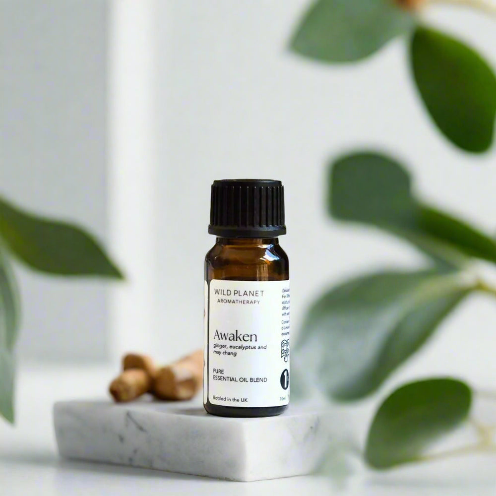 Awaken reviving essential oil blend 10ml amber glass bottle on marble with green leaves and ginger