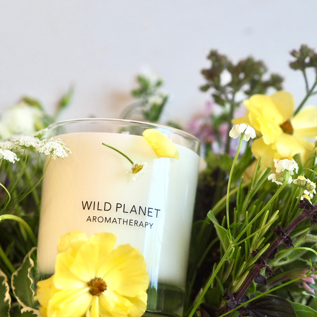 Wild Planet Aromatherapy refreshing candle lit, surrounded by vibrant yellow and green flowers