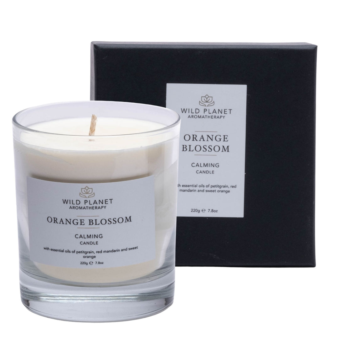 Orange Blossom Calming Candle | Wild Planet Aromatherapy UK Scented Candle
