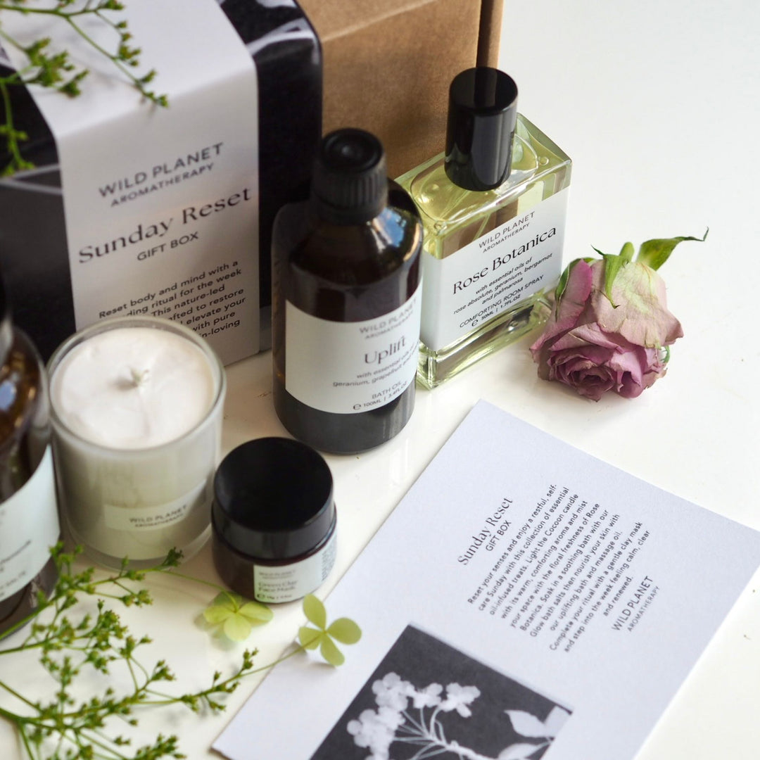 Relaxing Aromatherapy Gift Set | Wild Planet Aromatherapy Gift