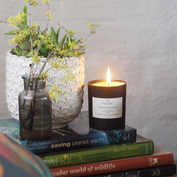 Forest Bathing | Natural Candle | Wild Planet Aromatherapy UK Scented Candle