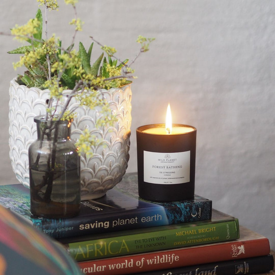 Forest Bathing | Natural Candle | Wild Planet Aromatherapy UK