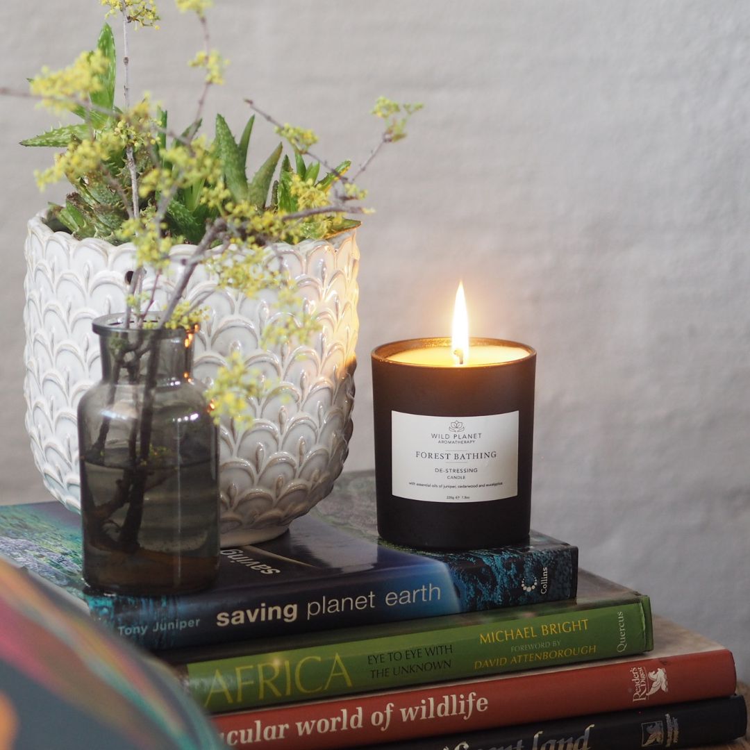 Forest Bathing, Natural Candle