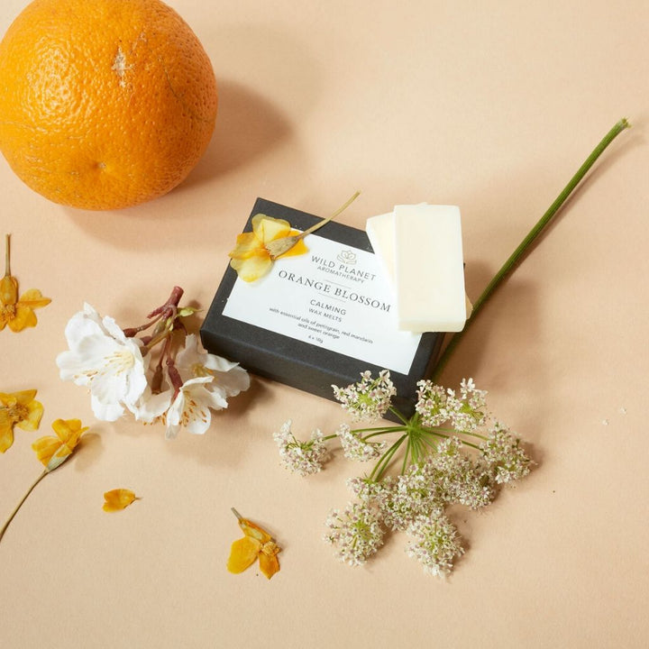 Awaken - Reviving - Luxury Wax Melts by Wild Planet Products Wax Melts